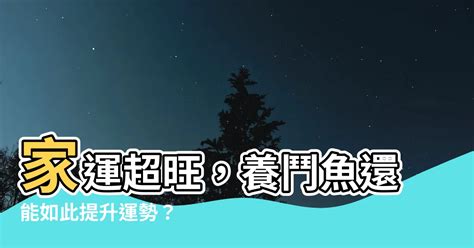 鬥魚擋煞|【鬥魚風水】鬥魚風水大揭秘：養對了旺財旺運，避開禁忌保平。